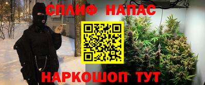гашик Ефремов