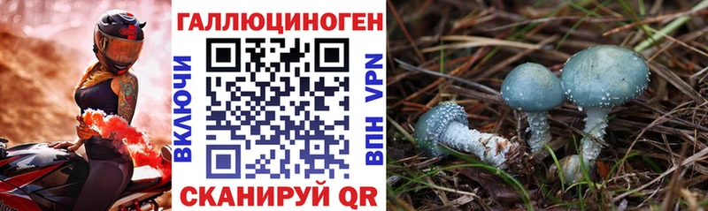 Псилоцибиновые грибы GOLDEN TEACHER  сколько стоит  Невинномысск 